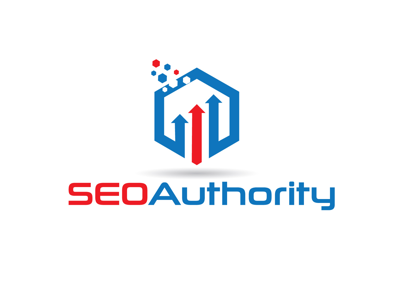 SEO Consultant New York | NYC SEO Authority